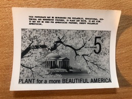 USA Etats-Unis USPS - Epreuve Photo Publicity Essay Kodak Plant For A More Beautiful America - Sonstige & Ohne Zuordnung