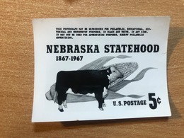 USA Etats-Unis USPS - Epreuve Photo Publicity Essay Kodak Nebraska Statehood 1867 - 1967 Cow Vache Kuh Mais - Autres & Non Classés