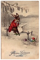 Fritz Baumgarten Easter Best Wishes Dressed Rabbit Eggs HWB 1613 Vintagepostcard - Baumgarten, F.