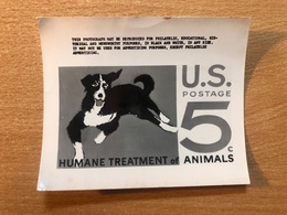 USA Etats-Unis USPS - Epreuve Photo Publicity Essay Kodak Humane Treatmant Of Animals Chien Dog Hund - Perros