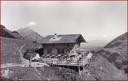 Berghaus Ramslauenen * Berghütte, Endstation Der Sesselbahn, Alpen * Schweiz * AK2314 - Lauenen