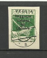 Fiume - Veglia 1920 - MI. 28 I, Used - Arbe & Veglia