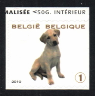 Belgium 2010 COB 4009 Mi. 4055 MNH, Young Domestic Animals, Labrador Puppy Dog Chiot Hündchen - Cani