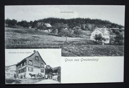 WUPPENAU (Bezirk Weinfelden) Gruss Aus Greutensberg Wirtschaft Zur Frohen Aussicht Pferde-Kutsche - Weinfelden