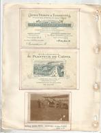 JC , 2 Cartes De Visites + 1 Photographie Avion Moth-Morane + Lettre ,Bussière Poitevine ,Au Planteur De Caïffa ,4 Scans - Tarjetas De Visita