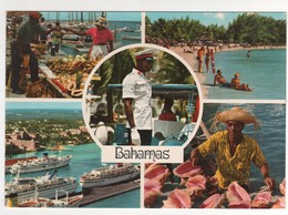 Carte Postale , Postcard Multivue , Neuve - Bahamas