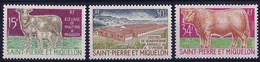 ST PIERRE ET MIQUELON - SERIE ELEVAGE - N°407 A 409 - NEUF SANS TRACE DE CHARNIERE - COTE 62€ - Ungebraucht