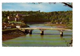 CHEPSTOW. THE CASTLE AND BRIDGE. - Monmouthshire