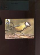 Belgie Buzin Vogels Birds 2460 Maximumkaart Gekleurd MB RR Bruxelles - 1991-2000