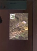 Belgie Buzin Vogels Birds 2695 Maximumkaart Gekleurd MB RR Brussel - 1991-2000