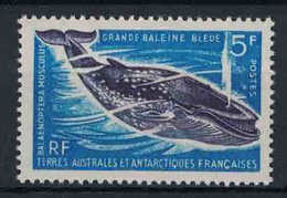 TAAF MNH Yvert 22 Baleine - Unused Stamps