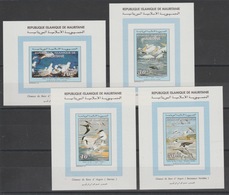 Mauritania Mauritanie 1994 Mi. 1025 - 1027 Epreuve De Luxe Proof Birds Oiseaux Vögel Banc D'Arguin Fauna SCARCE MNH** - Gaviotas