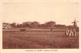 NORDSEEBAD ST. PETER - PASTORAT UND MÜHLE 1911  /ak390 - St. Peter-Ording