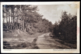 Netherlands, Unciculated Postcard,  "Nature", "Landscapes", "Nunspeet" - Nunspeet