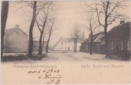 As / Asch - Route Vers Hasselt / Relais 1903 - As