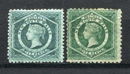 Nouvelle Galles Du Sud - N° 49 * - Neuf Avec Charnière - Les 2 Nuances Et Dentelures - Mint Stamps