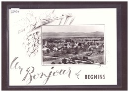 FORMAT 10x15cm - DISTRICT DE NYON - BEGNINS - TB - Begnins