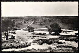 Netherlands, Circulated Postcard,  "Landscapes", "Nature", "Cities", "Epe" - Epe