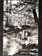 Netherlands, Circulated Postcard, "Nature", "Landscapes", "Cities", "Harderwijk", 1959 - Winterswijk