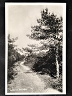 Netherlands, Circulated Postcard, "Nature", "Landscapes", "Cities","Lunteren" - Ermelo