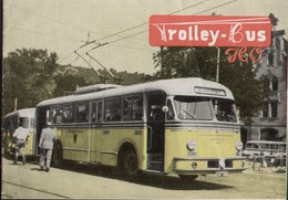 Catalogue EHEIM TROLLEY-BUS HO 1954 - En Anglais Et Suédois - Anglais