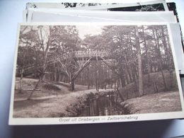 Nederland Holland Pays Bas Driebergen Met Hoge Brug In Het Bos Zwitserschebrug - Driebergen – Rijsenburg