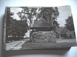 Nederland Holland Pays Bas Lochem Zwiep Boerderij Met Hooiberg - Lochem