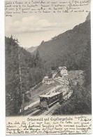 Suisse ENGELBERG Grûmenwald Und Engelbergerbahn Train 1903  ...G - UR Uri