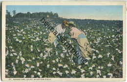 African-Americans - Romeo And Juliet In Cotton Field - Black Americana
