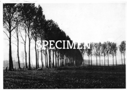 36 Het Beverhoutsveld - Beernem - Beernem