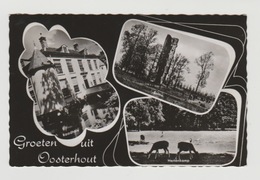 Raadhuis Groeten Uit Oosterhout (NL) 1963 - Oosterhout