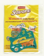 MAGNET SAVANE  AMERI'MAGNETS    HOUSTON/GRAND CANYON  SOUS  BLISTER FERME - Tourismus