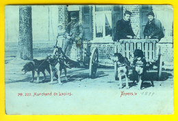 Top MARCHAND DE LAPINS & ATTELAGE De CHIEN 1898 ANTWERPEN - HONDENKAR & KONIJNEN-VENTER - DOG DRAWN CART  1874 - Marchands