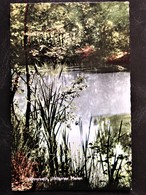 Netherlands, Uncirculated Postcard,  "Landscapes", "Nature", "Winterswijk" - Winterswijk