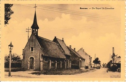 Beersse De Kapel St Cornelius - Beerse