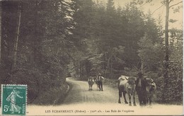 69 - Les Echarmeaux - 720 M Alt - Les Bois De Propières - Brignais