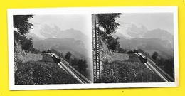 Vues Stéréos La Jungfrau Et Le Chemin De Fer De La Wengernalp (Oberland Bernois) - Photos Stéréoscopiques