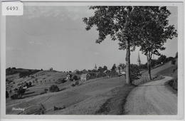 Strasse Nach Hemberg Toggenburg - Hemberg