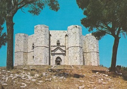 (C030) - CASTEL DEL MONTE (Andria) - Il Castello Di Federico II Di Svevia - Andria