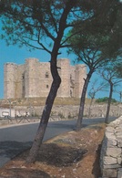 (C033) - CASTEL DEL MONTE (Andria) - Il Castello Di Federico II - Andria