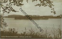 Malente-Gremsmühlen - Dieksee - Grosse Insel - Foto-AK - Verlag H. Rubin & Co. Dresden - Malente-Gremsmuehlen