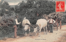 ¤¤  -   Agriculture   -   Agriculteurs, Agricuture  -  Attelage De Boeufs    -   ¤¤ - Elevage