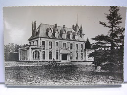 18 - NANCAY - CHATEAU DU  HAUT BOULAY - ETAT NEUF - Nançay