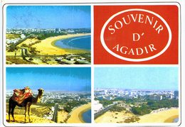 Lot 153 - Maroc- 100 Cartes - 100 - 499 Postales