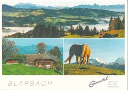 Trubschachen - Blapbach "herrliche Aussicht"         Ca. 1990 - Trub