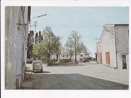 Delcampe - CP 33 LANGON La Place Son Monument - Langon
