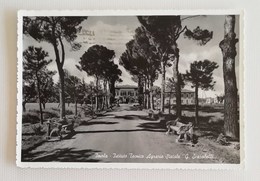 Cartolina Illustrata Imola-Istituto Tecnico Agrario Statale "G.Scarabelli", Per Forlì - Imola