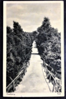 Netherlands, Circulated Postcard, "Nature", "Landscapes", "Epe" - Epe