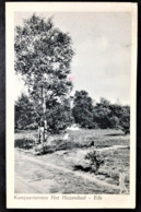 Netherlands, Circulated Postcard, "Nature", "Landscapes", "Ede", 1951 - Ede