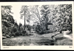 Netherlands, Uncirculated Postcard, "Nature", "Landscapes", "Epe" - Epe